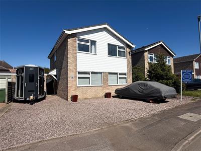 Picture 20